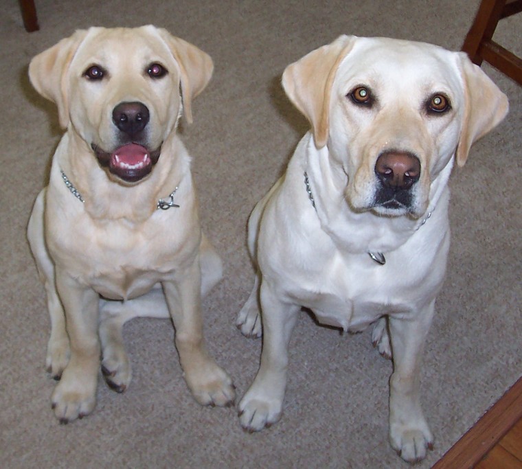 Mom and Daughter