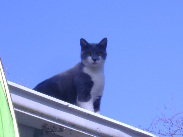I'm watching you
