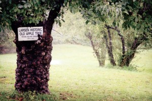 The best of apple country