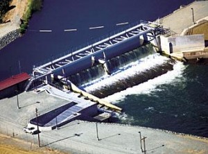 Woodbridge Dam engineers honored for most advanced fish ladders in U.S. 