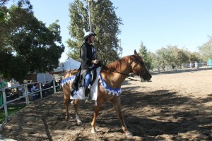 Medieval revelers gather for a tournament in Lodi