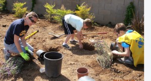 Volunteers from Lodi, Galt clean up parks, other public places