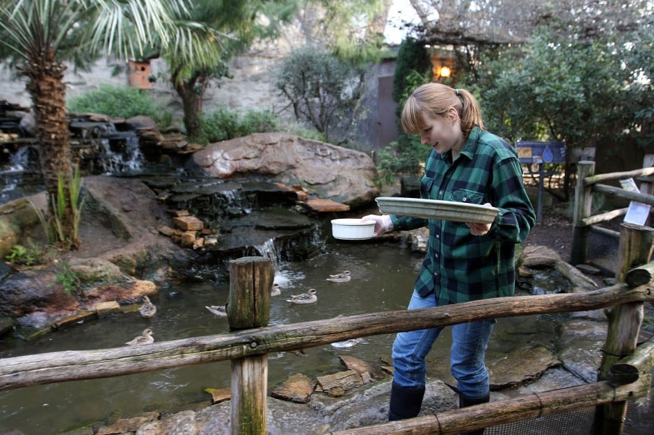 News-Sentinel reporters play zookeepers for a day 