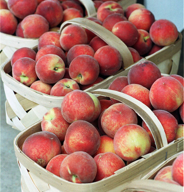 Locally grown peaches liven drinks and are a healthy snack