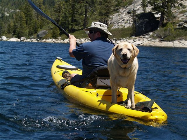 Paddling with Sadie