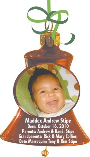 Maddex Andrew Stipe