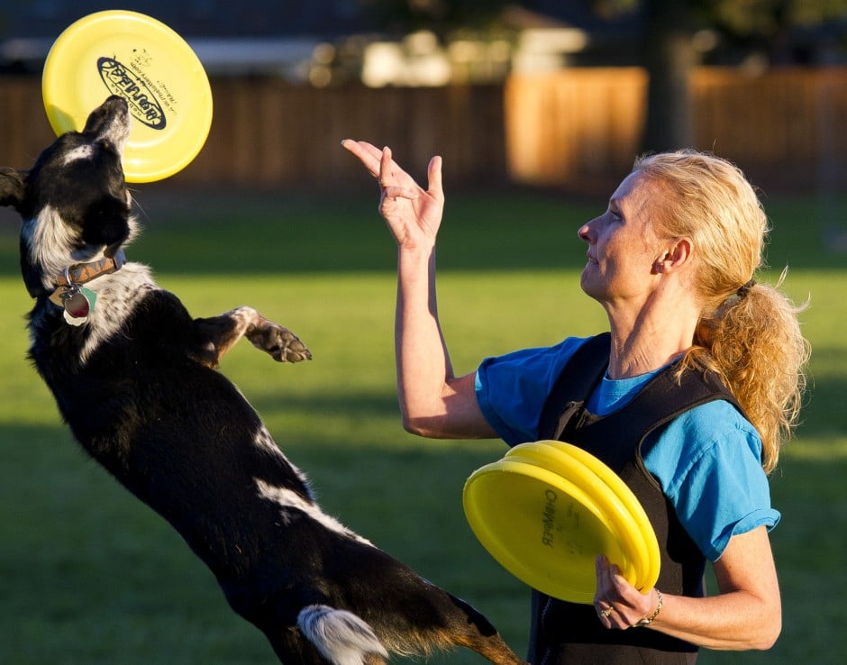 Canines compete in Golden State Disc Dog Championship