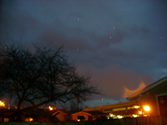 dsc00102.jpg