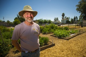 Growing community one tomato, zucchini, watermelon, pumpkin, strawberry at a time 