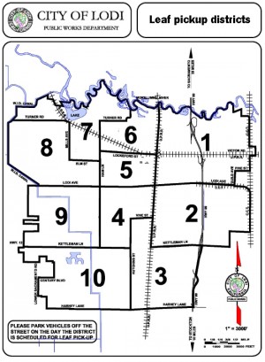 City of Lodi leaf map