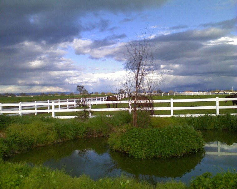 Ranch at Sunset