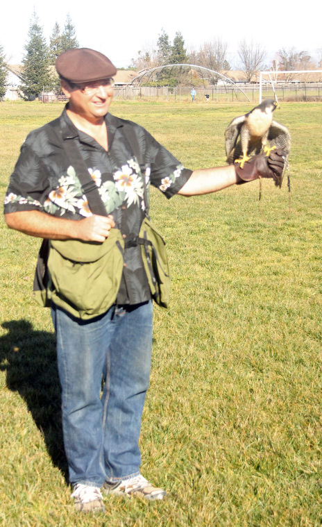 Galt celebrates sixth annual winter bird festival