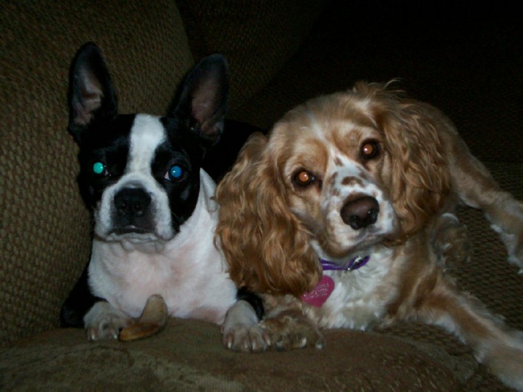 Joey and Shayla