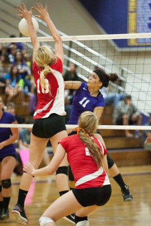 Flames, Tigers set tone early
