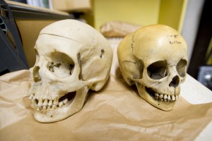 Local store sells human skulls on eBay