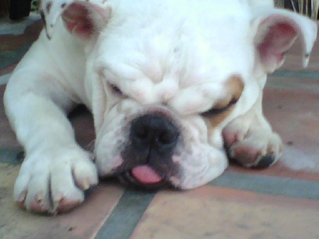 I love takin a nap.