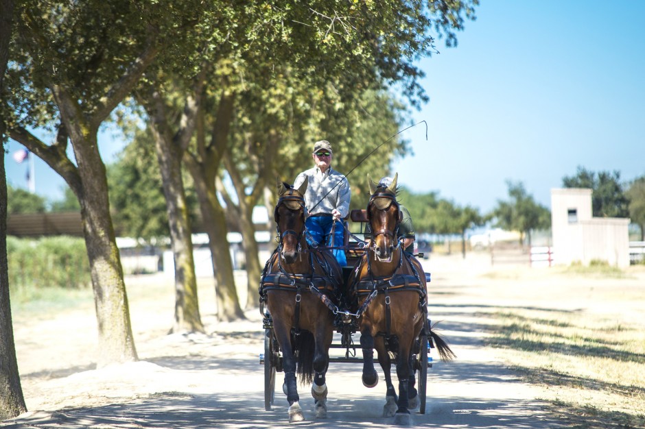 Fritz Grupe balances family, business, farming 