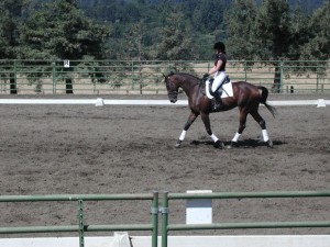 Liberty Oaks Pony Club members earn top level certification