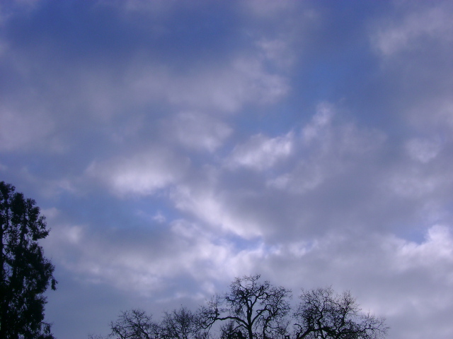 dsc00041.jpg