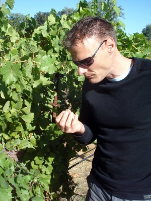 Markus Niggli samples Gewürztraminer
