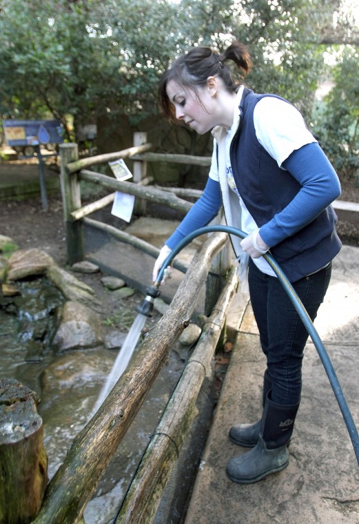 News-Sentinel reporters play zookeepers for a day