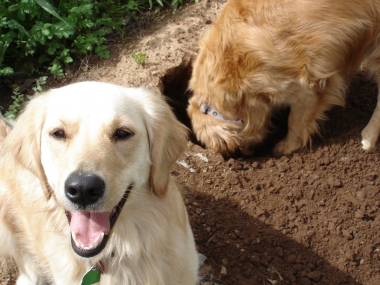 Digging to nowhere