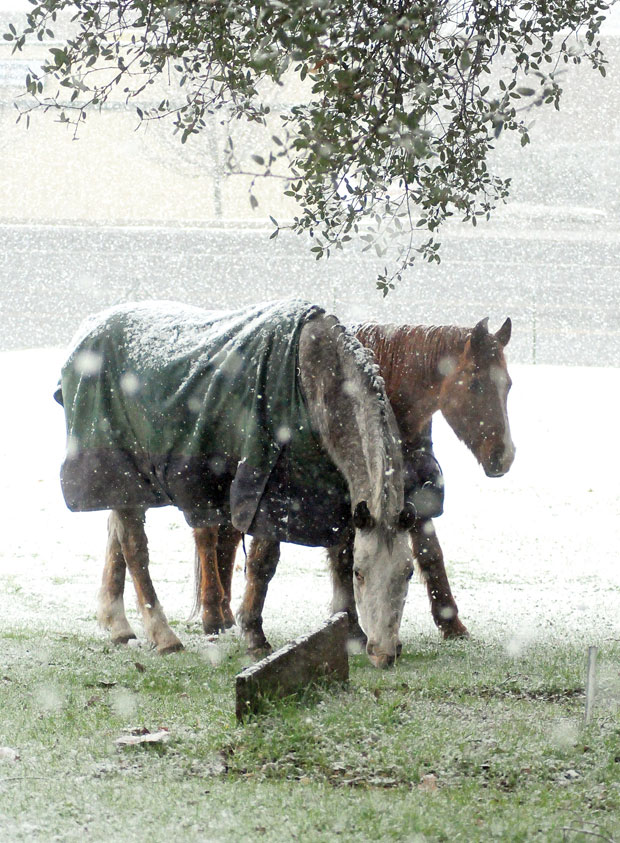 Stranded in the snow