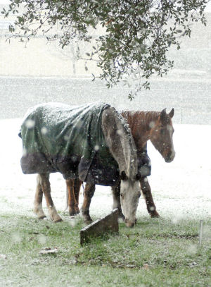 Stranded in the snow