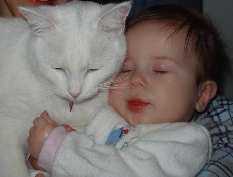Brian and our kitty