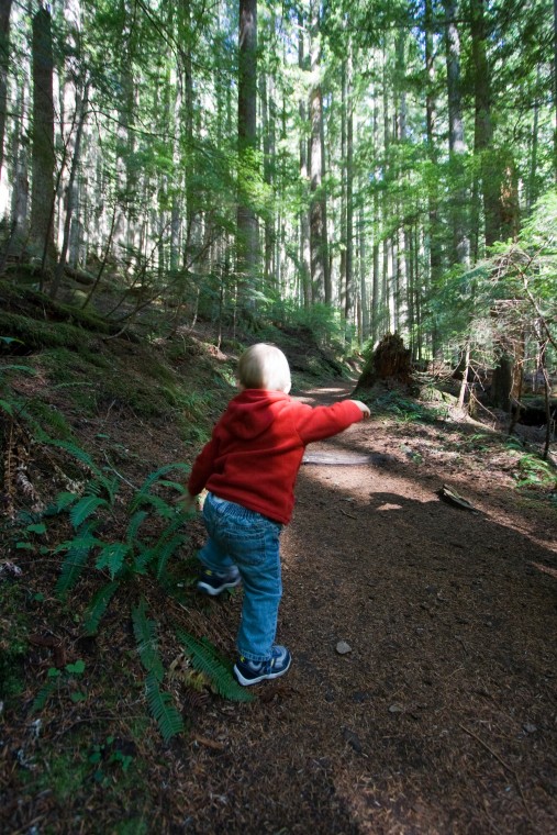 Little Hiker