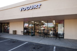 Father-daughter duo open Lodi froyo shop