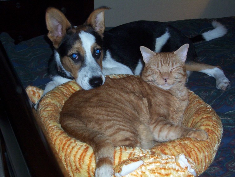 Oliver and Raskal