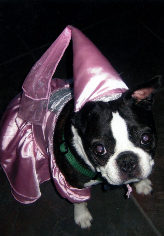 Duke in Disguise