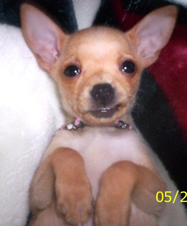 Mugshot