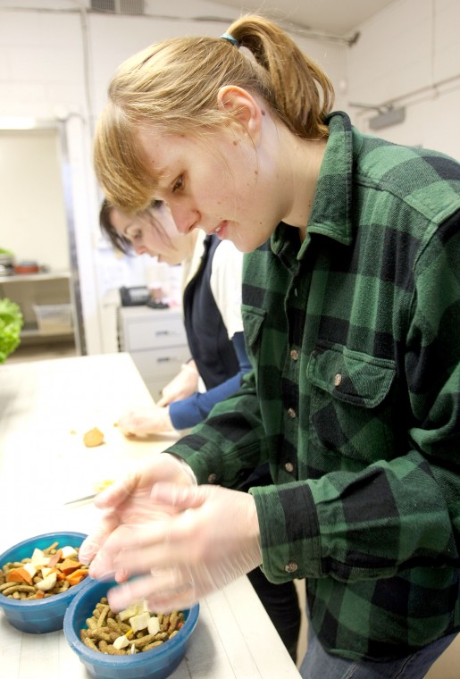 News-Sentinel reporters play zookeepers for a day 