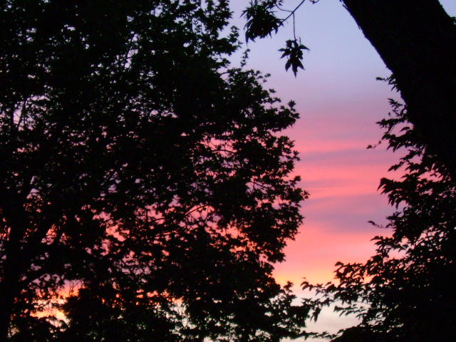 My view of the sunset from downtown Lodi