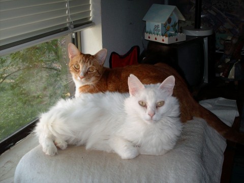 Jake n Molly