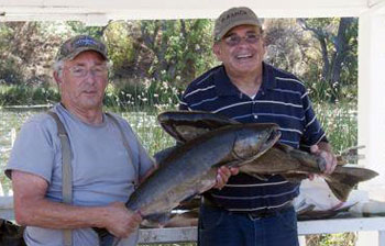 Catch of the Week