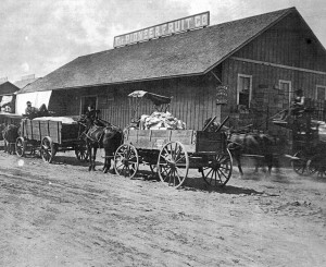 Packing sheds, suffrage were talk of the town a century ago