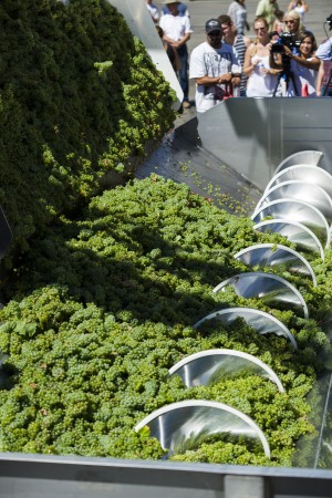 A vintage tradition at Woodbridge Winery 