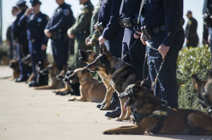 Fallen Galt Police Officer Kevin Tonn Laid To Rest : Dozens of K-9 officers line the path as people arrive for the funeral of Galt Police Officer Kevin Tonn at Adventure Community Church in Roseville on Monday, Jan. 21, 2013.
 - Photo by Dan Evans/News-Sentinel