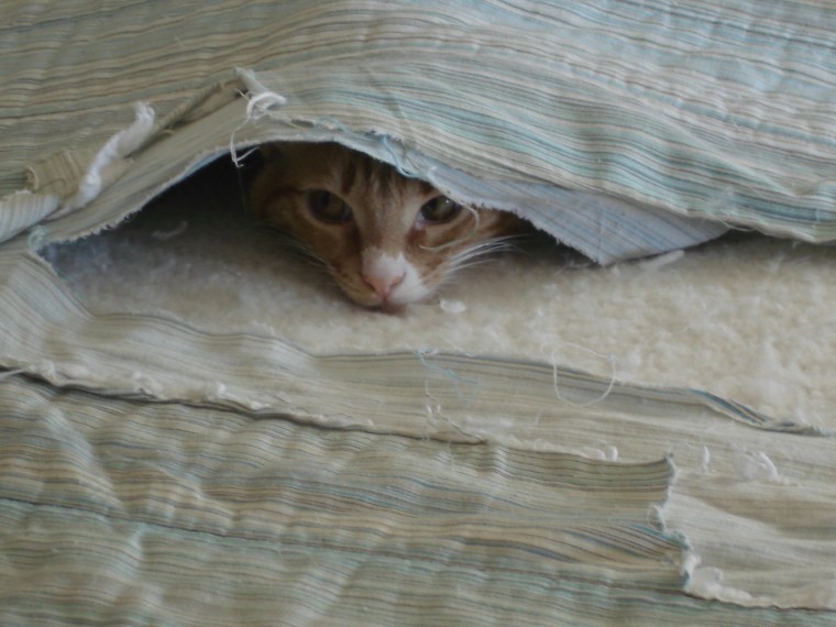 Hide and Seek