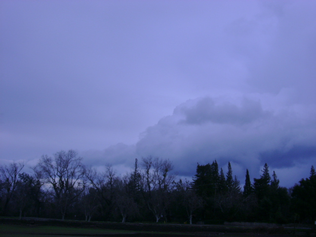dsc00114.jpg