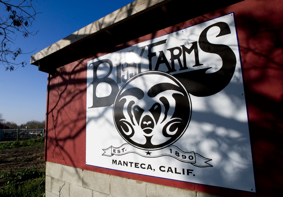 Mick Founts has drive to help kids — human and goat