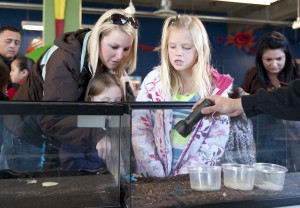 Getting bugged at Lodi’s World of Wonders Science Museum