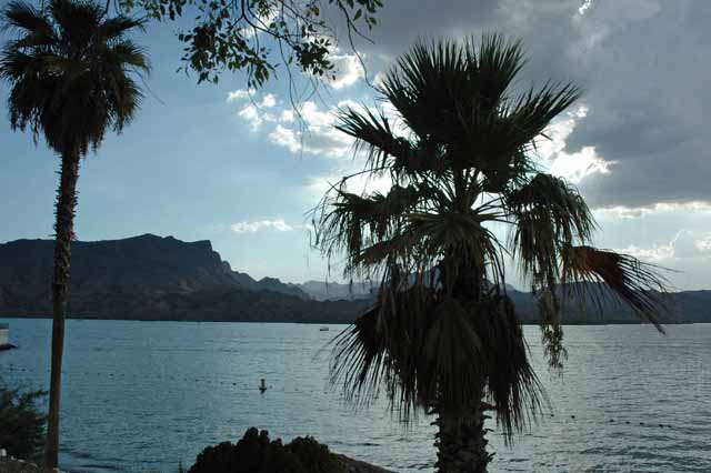Lake Havasu, AZ