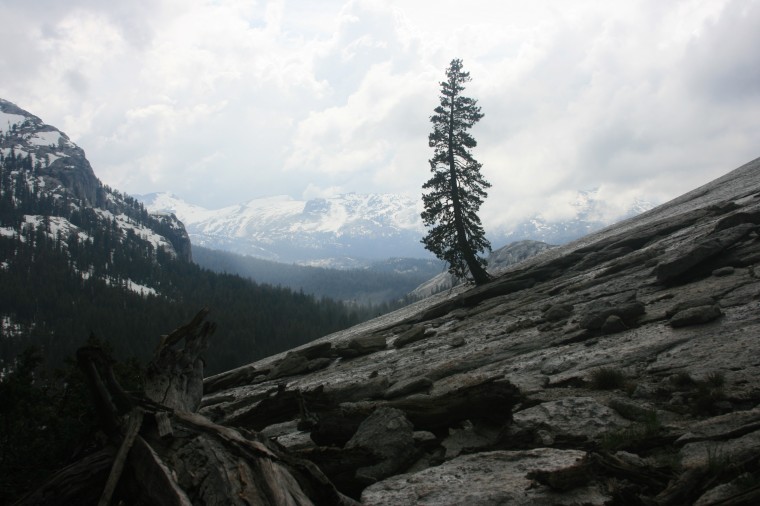 Fairview Dome - South Shoulder