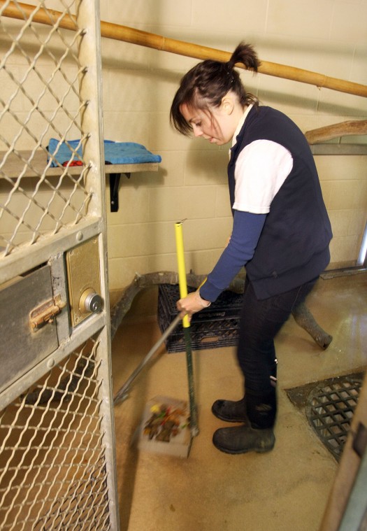 News-Sentinel reporters play zookeepers for a day 