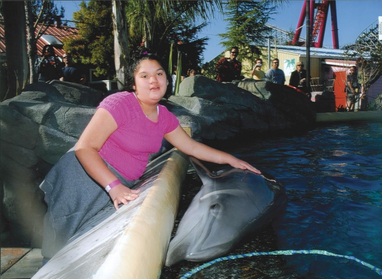 dolphin.jpg