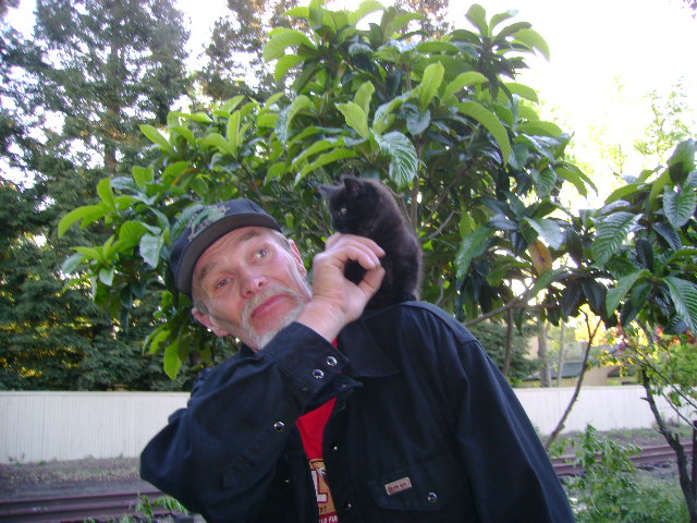 Kooky Catnip Company
